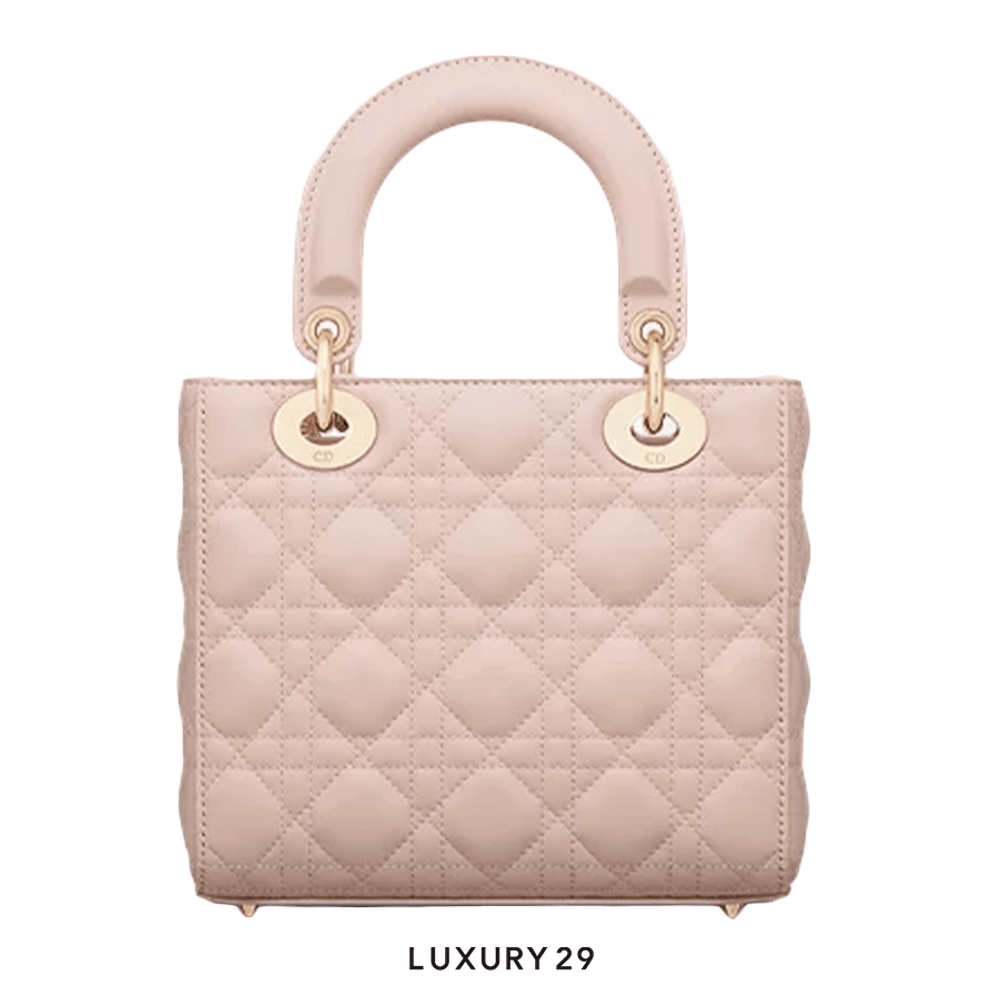 Abcdior lambskin bag hot sale