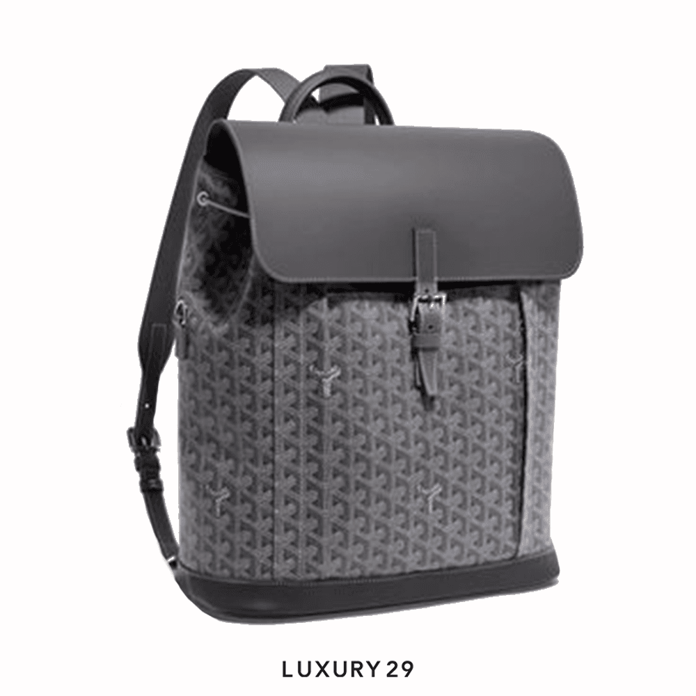 Alpin backpack goyard online