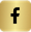 iconFb